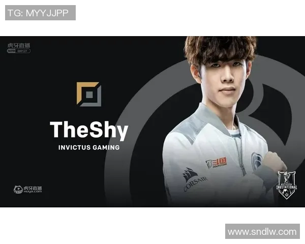 igvkg比赛-IGVKG比赛，一场展现技术精湛与创新精神的竞赛-igvkg比赛